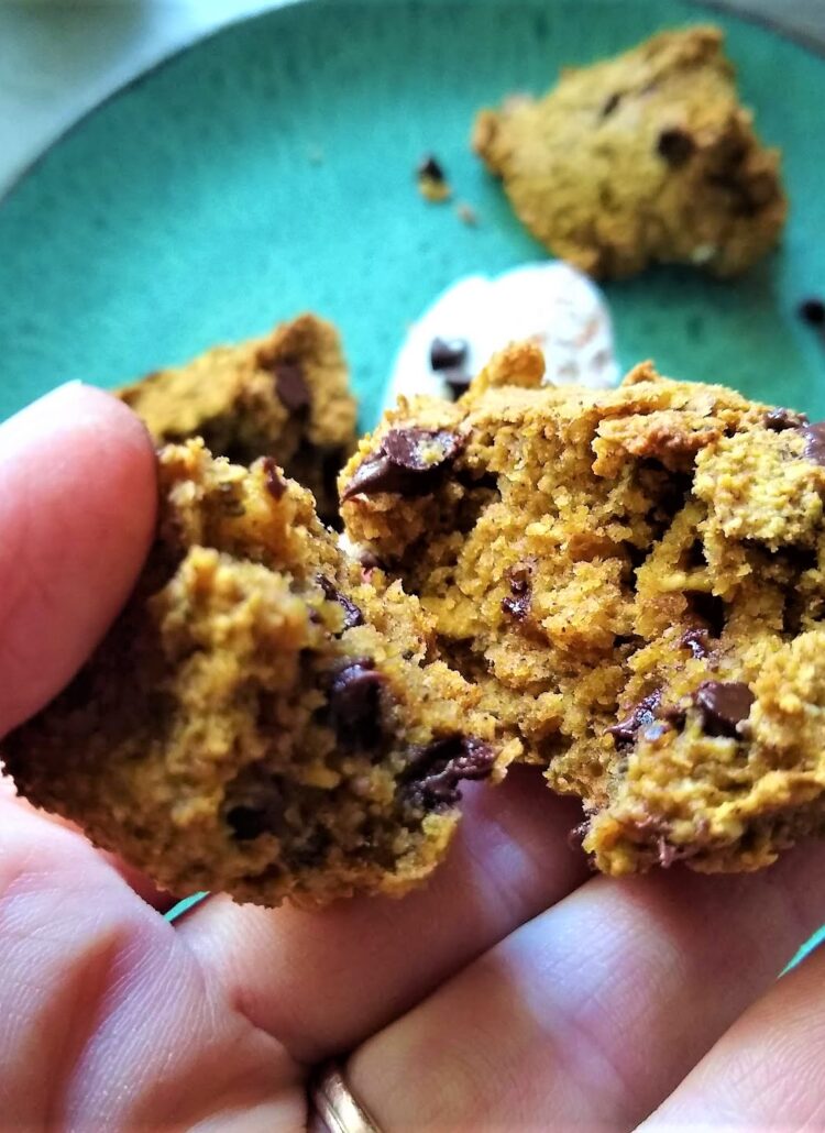 Melted chocolate chips oozing out of a delicious vegan pumpkin chocolate chip cookie